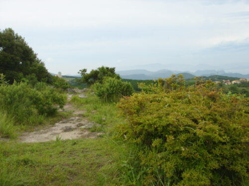 矢筈岳
