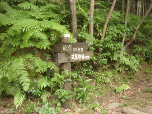 Dsc01611 旧道を下って