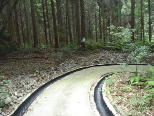 Dsc01616 山道歩き