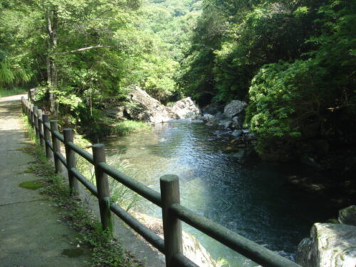 Dsc01647 県民の森