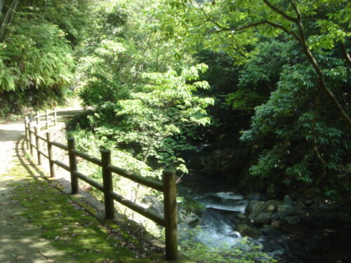 Dsc01648 県民の森
