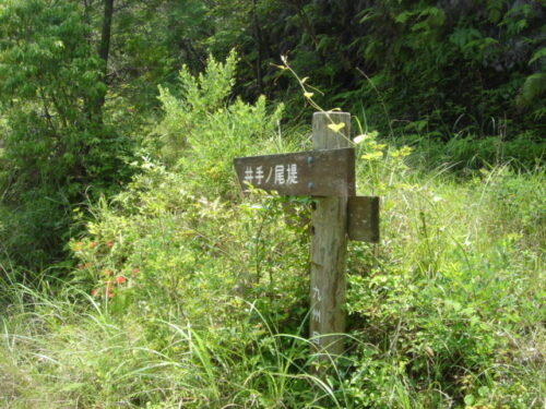 Dsc01660 道しるべ