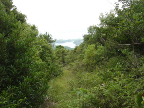 Dsc01680 山道歩き