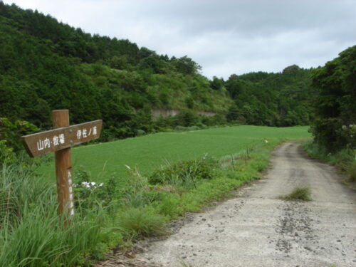 Dsc01686 道しるべ