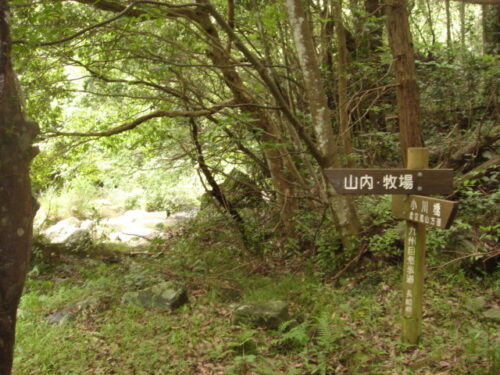 Dsc01687 道しるべ