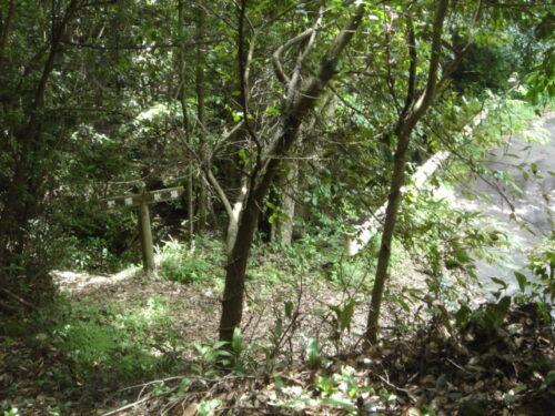 Dsc01693 山道歩き