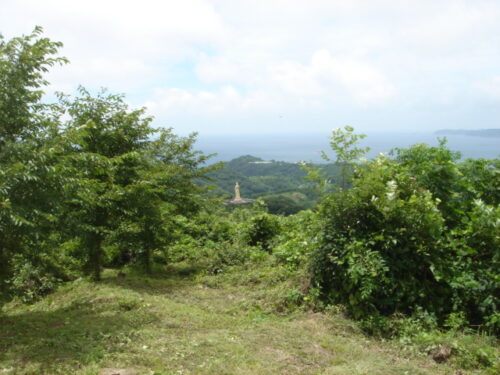 山道歩き