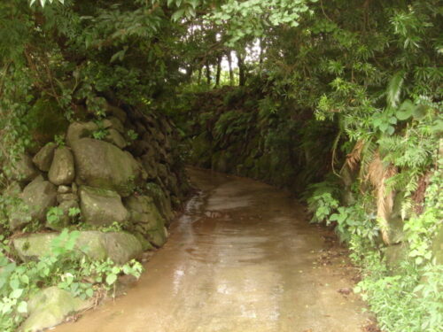 自然歩道