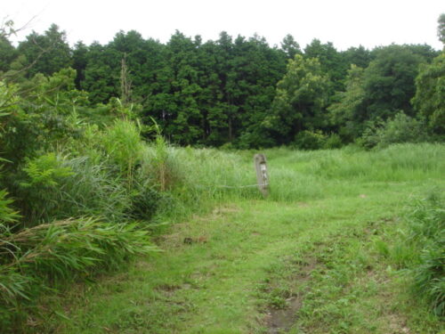 Dsc01801 諭所原