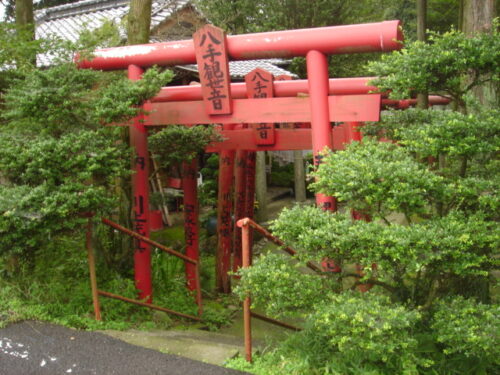 Dsc01807 八手観音