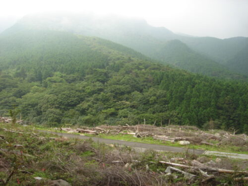Dsc01861 田代原
