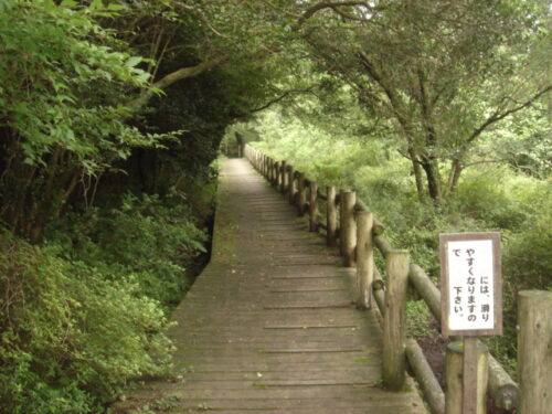 Dsc01865 田代原トレイルセンター