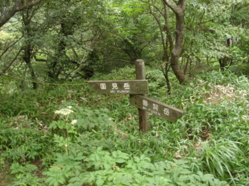 Dsc01882 道しるべ