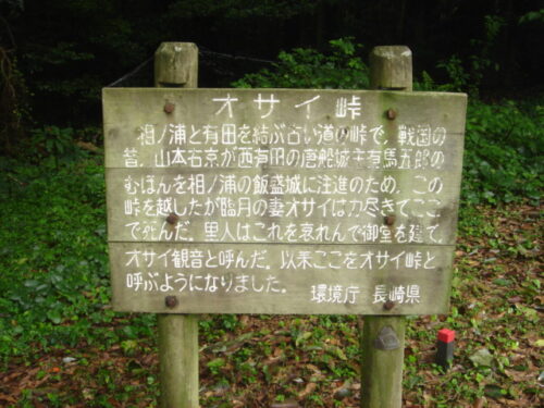 Dsc01917 オサエ越