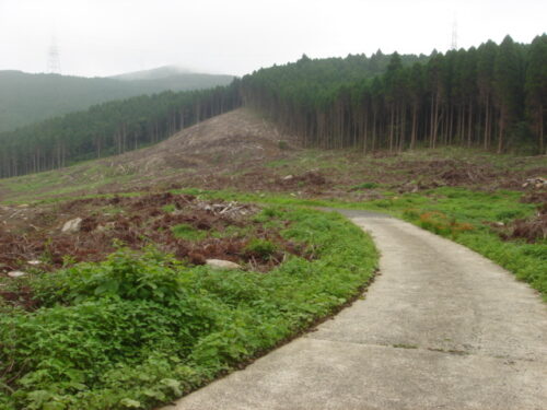 栗ノ木峠へ