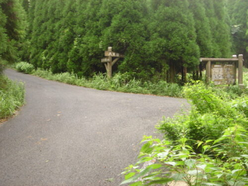 Dsc01926 栗ノ木峠県道付近分かれ道