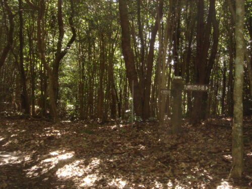 Dsc01954 道しるべ