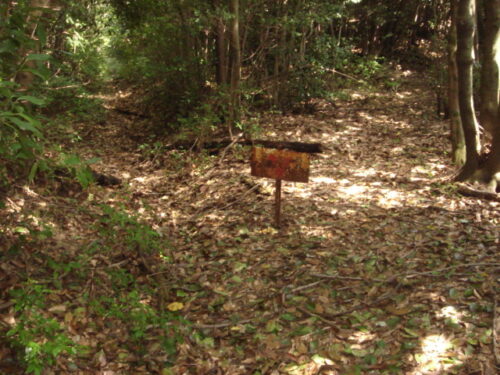 Dsc01965 かなり荒れてる