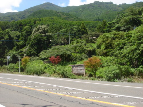 Dsc01971 国道に出て、200m程度下る