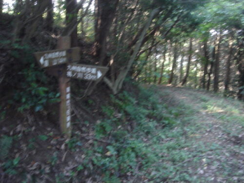 Dsc02126 道しるべ