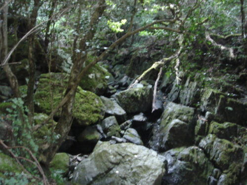 Dsc02186 沢沿い