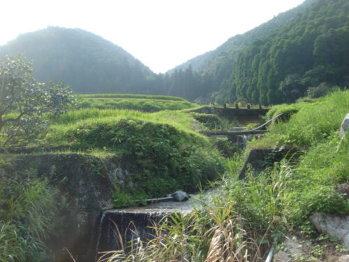 Dsc02206 川沿い