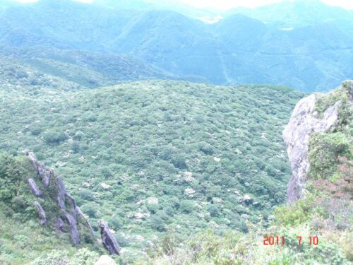 Dsc07899 九千部岳 頂上付近