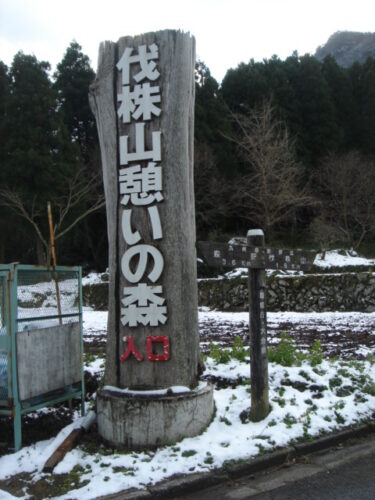 伐採山への登山口