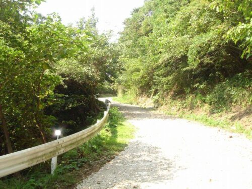 井樋の尾林道
