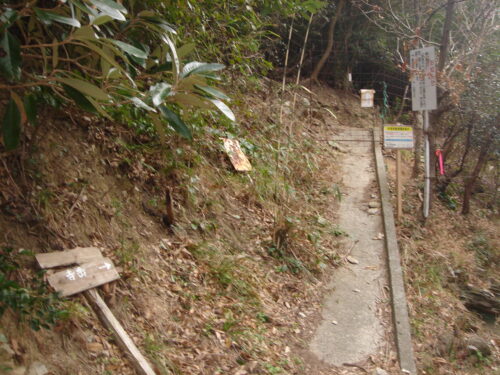 Dsc05369_2 舗装林道との出会い
