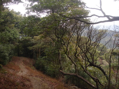 Dsc05399_2 山道歩き