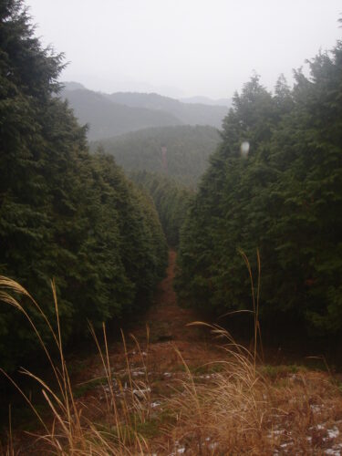 Dsc05409_2 防火帯