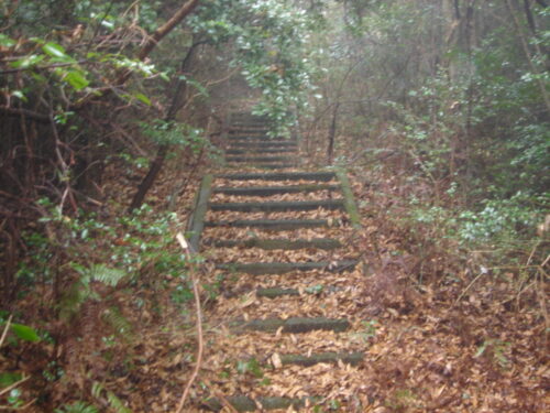 Dsc05432 公園からの下り