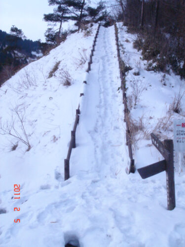 雪の道しるべ