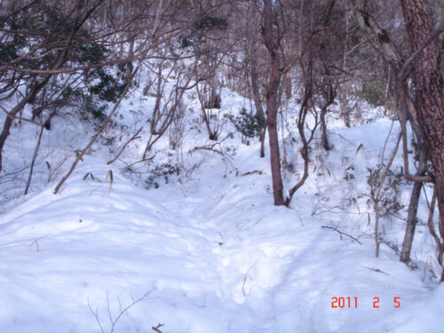 雪の道しるべ