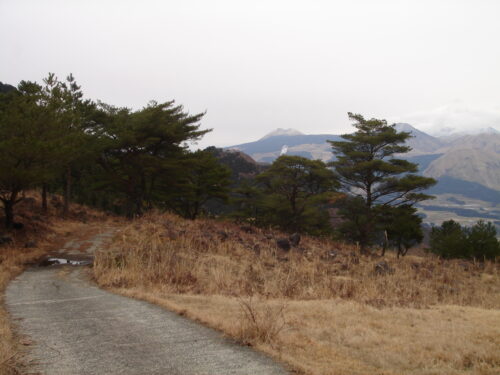 Dsc09156 舗装林道を歩く