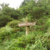 道しるべ