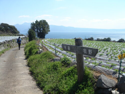 Dsc09473 牧野台地のポテト畑
