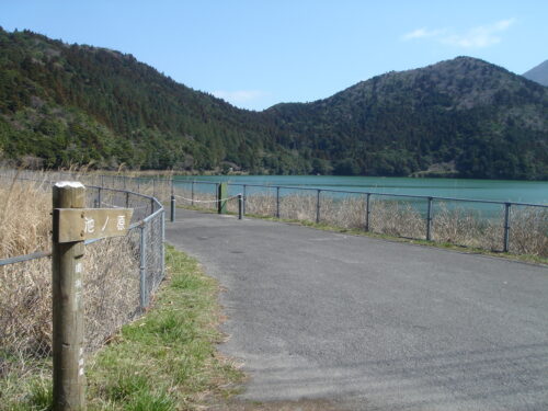 おしどりの池