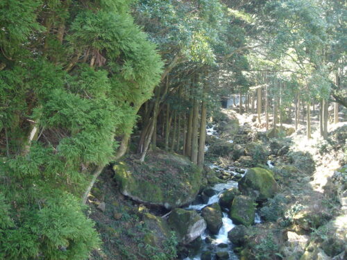 Dsc09533 千々石川上流