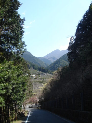 雲仙岳