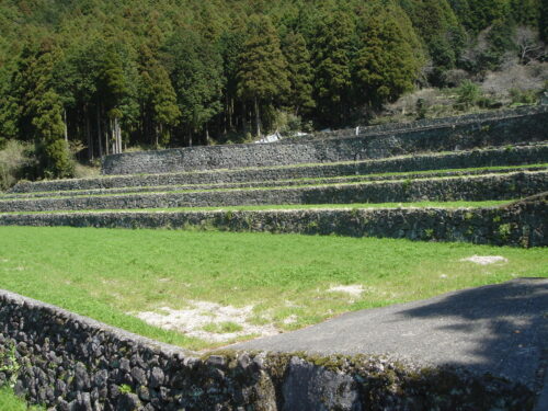 Dsc09538 棚田