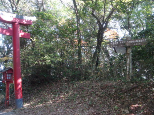 大根地山