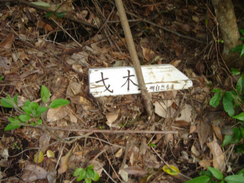 Dsc09923 才木への道しるべ