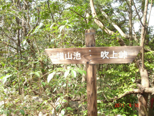 横山池