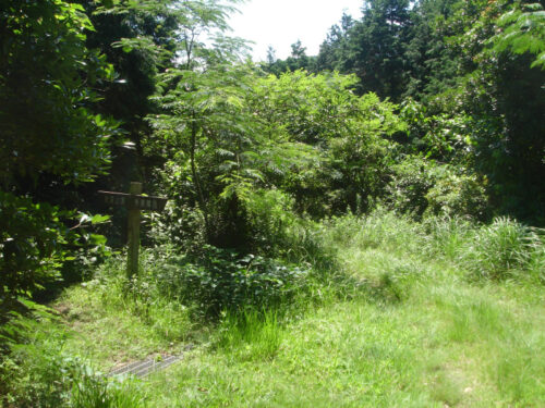 Dsc00993 山道歩き