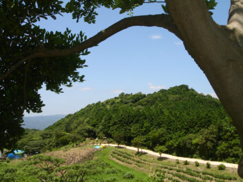 Dsc01021 式見牧場