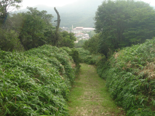 矢岳園地からの下り