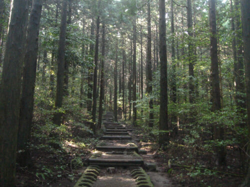 Dsc01121 山道歩き