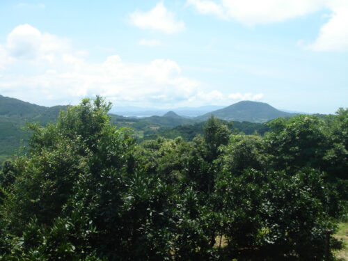 Dsc01163 愛宕山と天草の山々